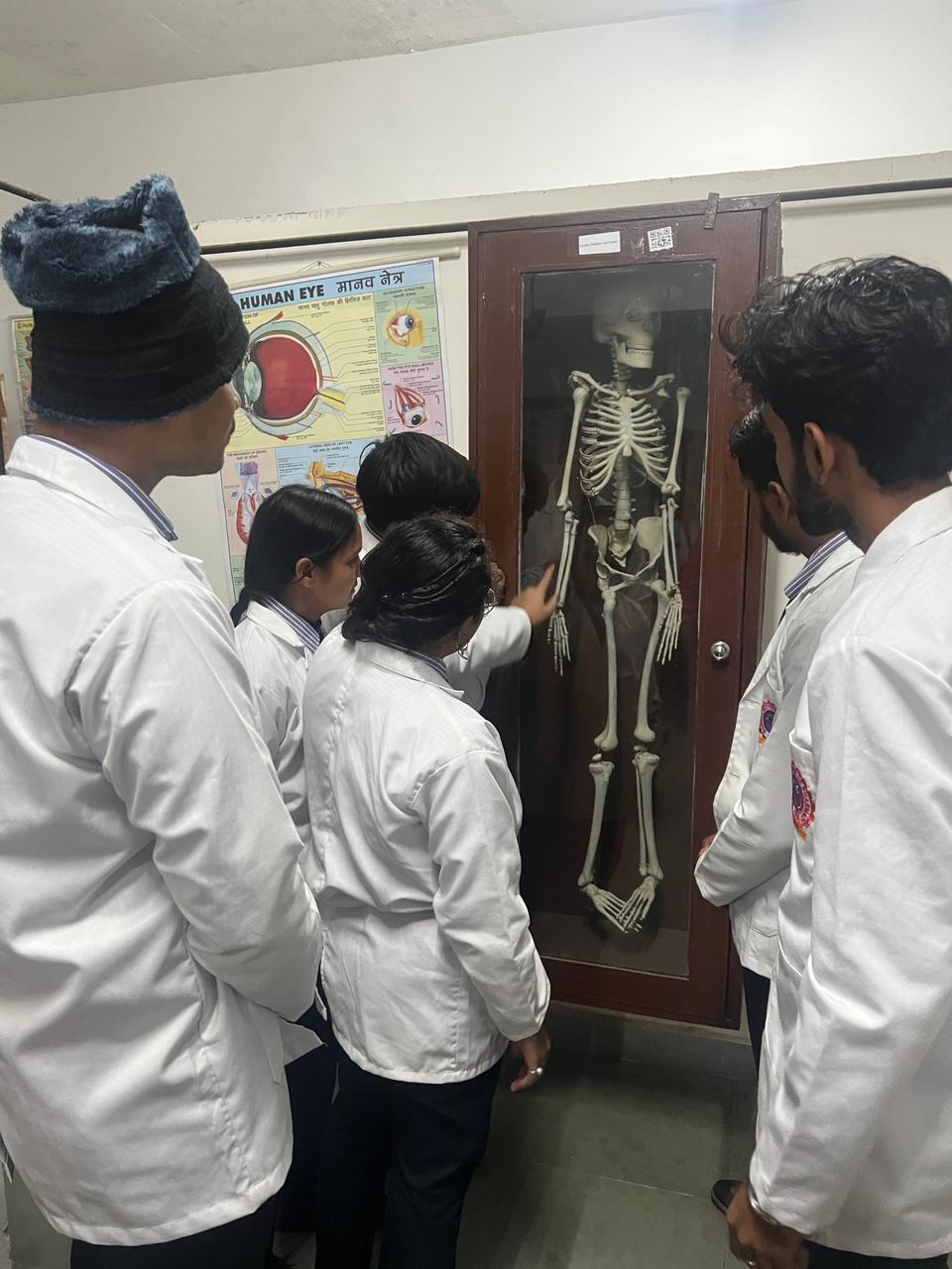 Human Anatomy & Physiology